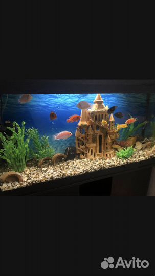 Аквариум 180 литров с тумбой