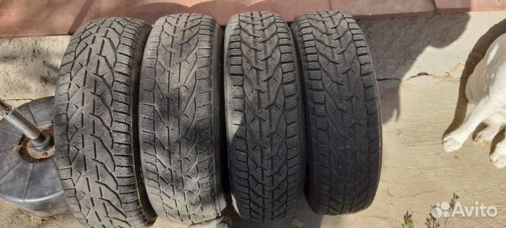 Tigar Winter 185/65 R15
