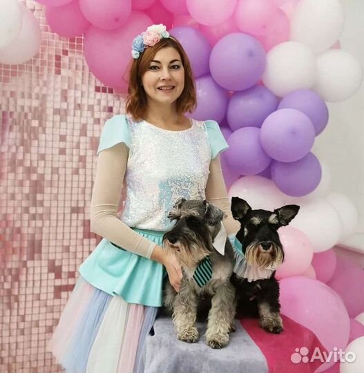 Шоу собачек на детский праздник. Аниматор