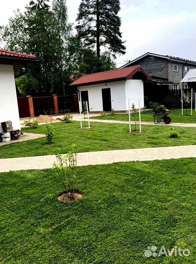 Рулонный газон 