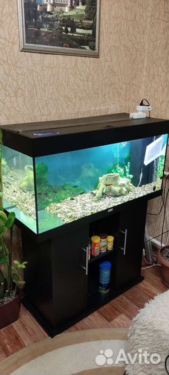 Аквариум б.у