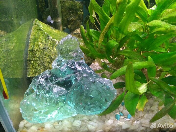 Стеклянные Камни для аквариума.эрклез