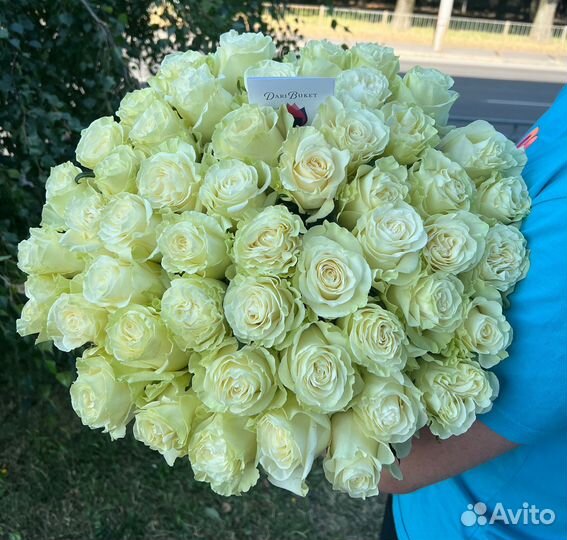 51 эквадорская роза премиум 60см