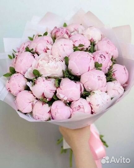 Пионы Букет