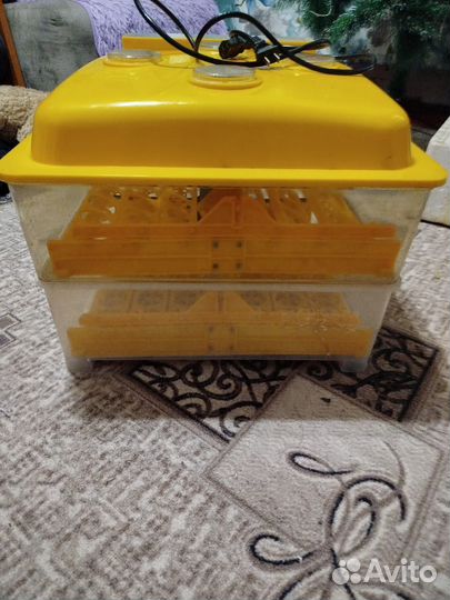 Инкубатор для яиц