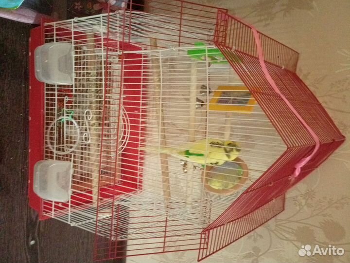 Клетка для попугая