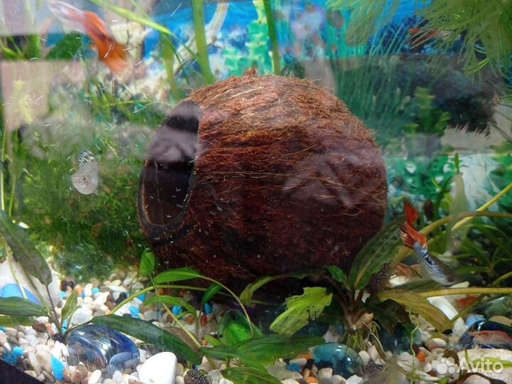 Грот для аквариума