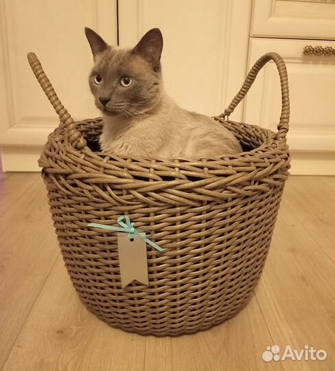 Кашпо с ручками 20 л