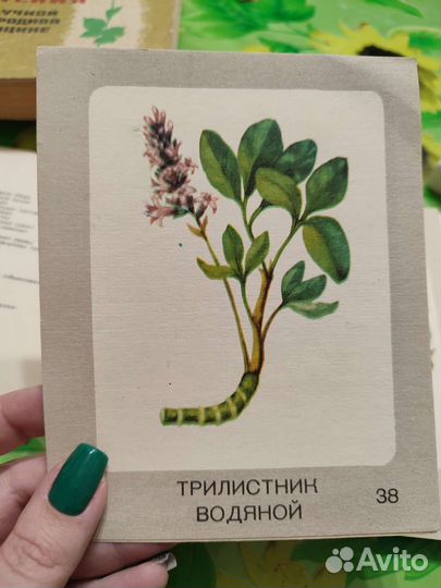 Лекарственные растения СССР