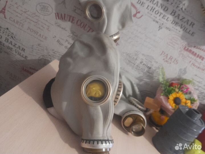 Противогаз гп 5