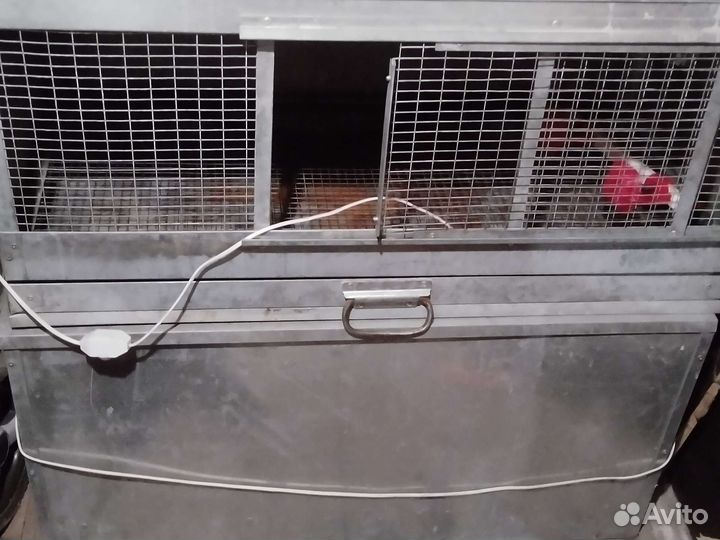 Брудер для цыплят бу