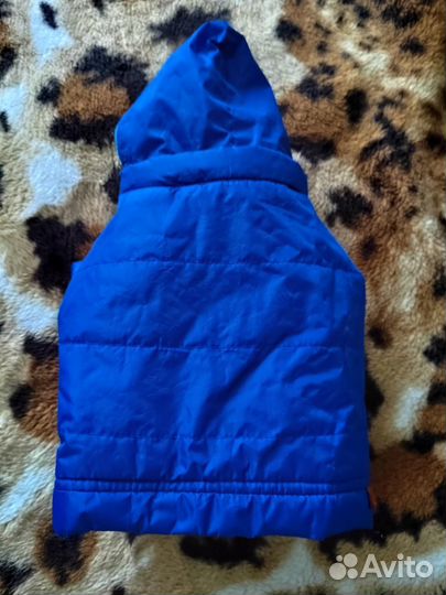 Полукомбинезон для маленькой собаки