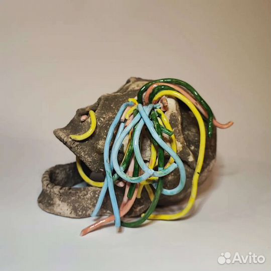 Радужный череп