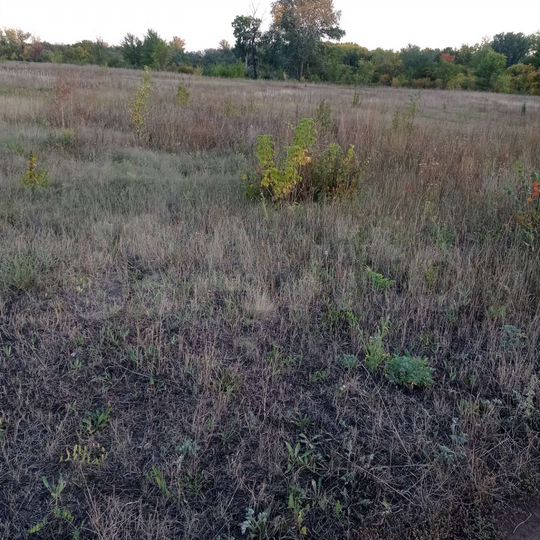 Участок 21 сот. (СНТ, ДНП)