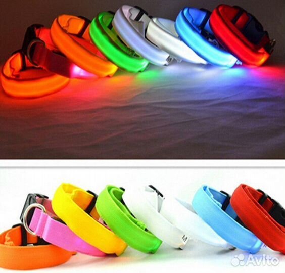 Ошейник для собак