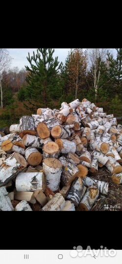 Дрова березовые колотые