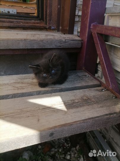 Антидепрессанты