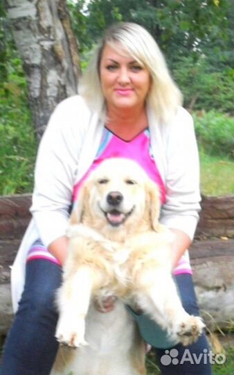 Передержка собак Москва