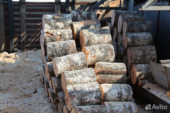 Дрова береза