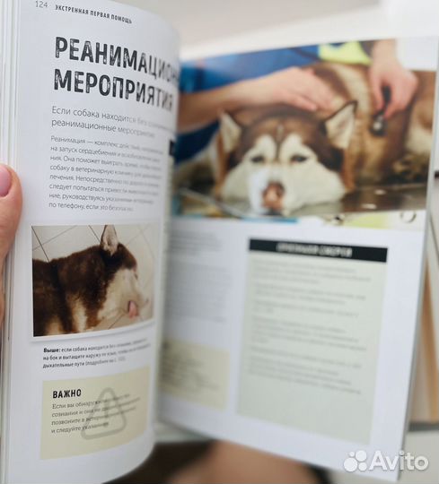 Книги про домашних любимцев