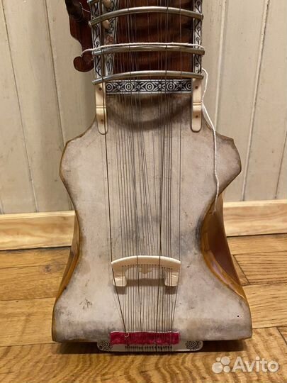 Дильруба (Индийский инструмент)