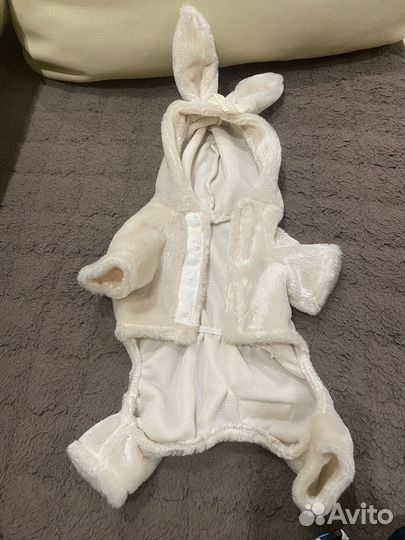 Костюм для собак