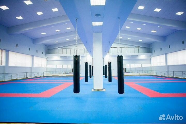 Будо-маты ласточкин хвост