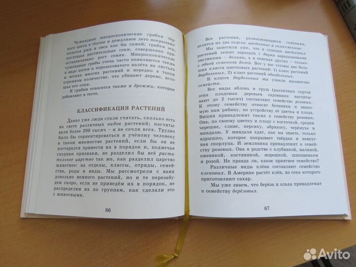 Детский мир из природы. Часть 2. ркш