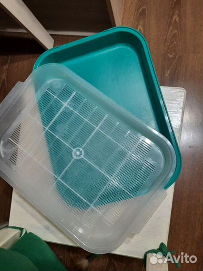 Кошачий лоток