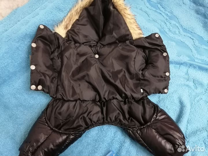 Комбинезон для маленькой собаки