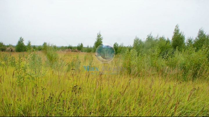 Участок 7,5 сот. (СНТ, ДНП)