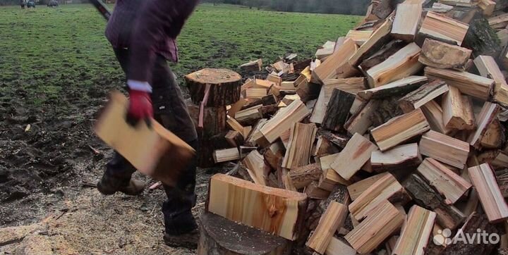 Дрова березовые нарубленные