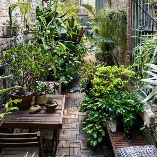 Озеленение и растения на заказ