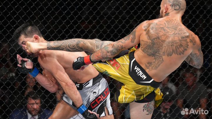 UFC 5 PS5