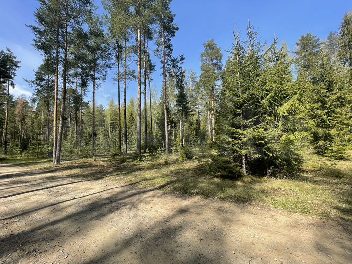 Участок 17,2 сот. (ИЖС)