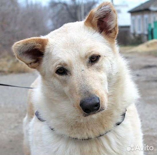 Одна жизнь за двоих