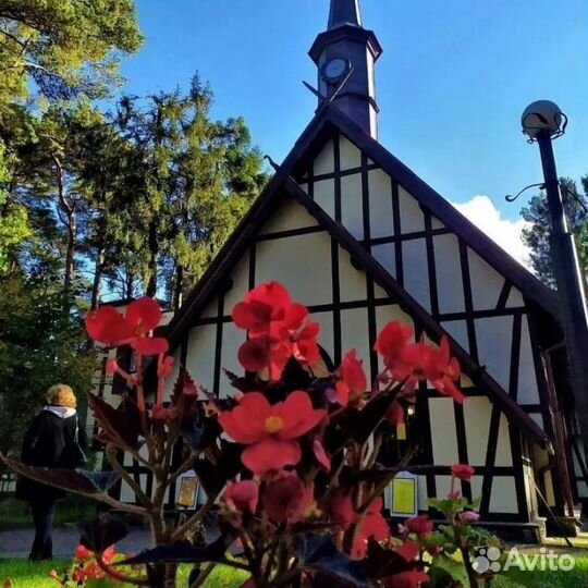 Бизнес туры в Калининград