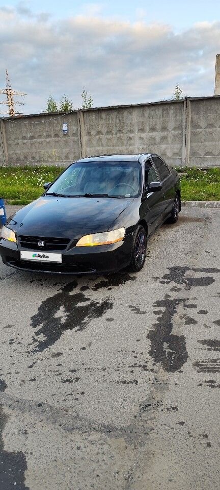 Honda Accord: фото владельца