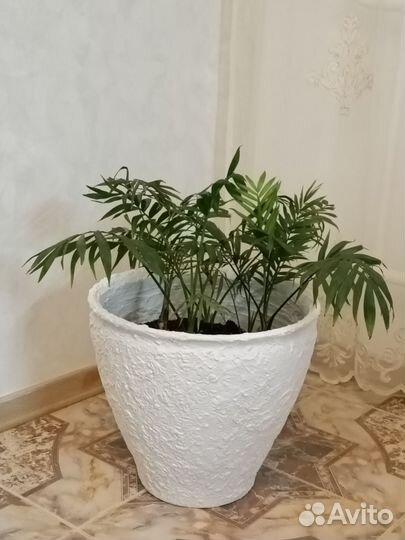 Глиняное кашпо с пальмами