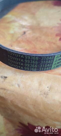 Ремень поликлиновый