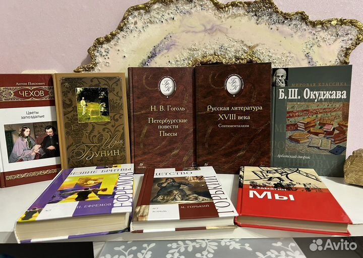 Школьная библиотека классика русской литературы