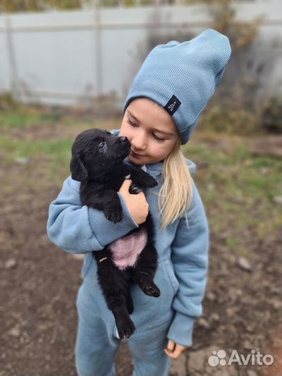 Щенок Мими в добрые руки
