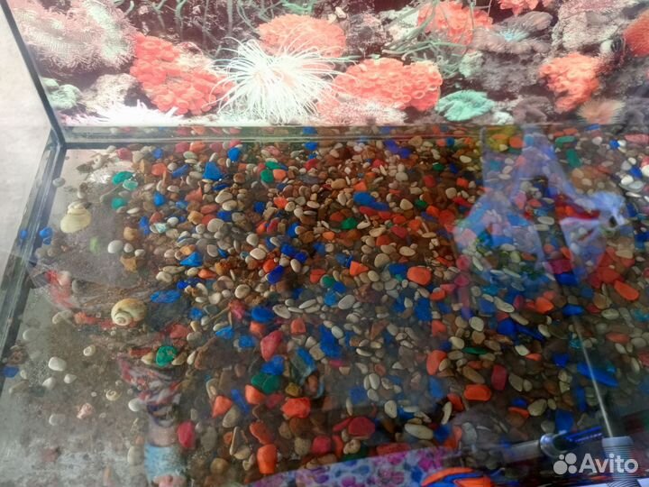 Все для аквариума