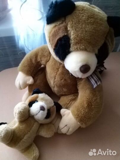 Семья енотов : мама Енотиха и малыш