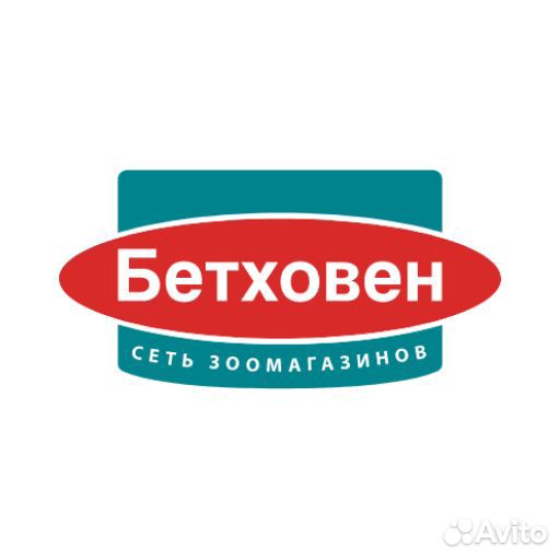 Старший кладовщик