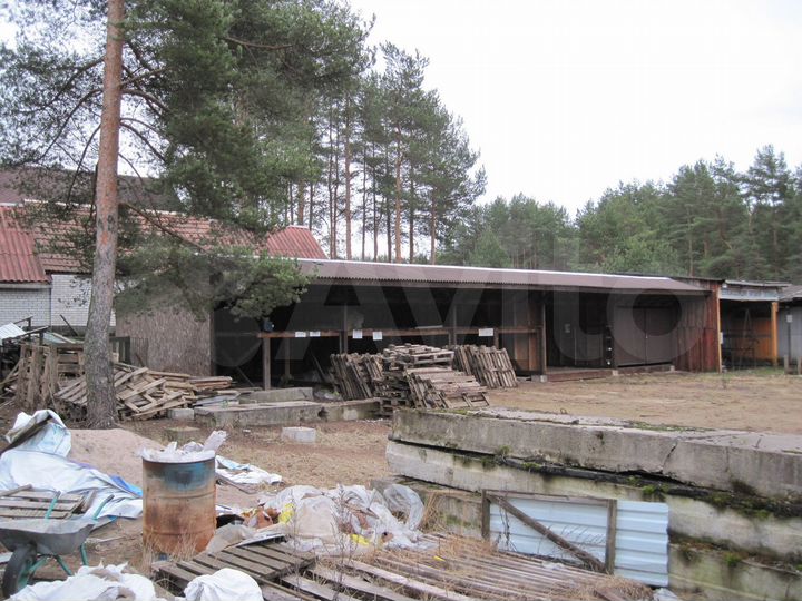 Свободного назначения, 50 м² +1200м2