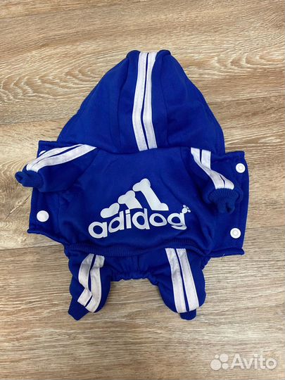 Одежда для собак мелких пород