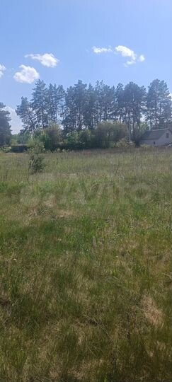 Участок 19,5 сот. (ИЖС)