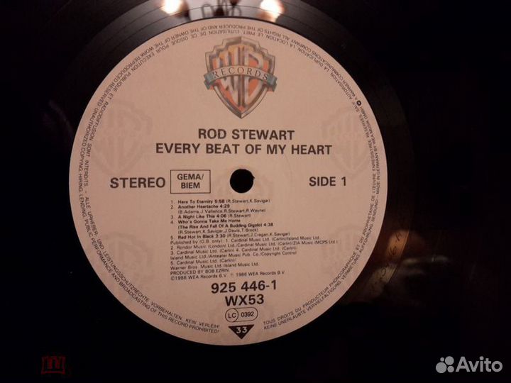 LP Rod Stewart - Every Beat Of My Heart 1986 Germa
