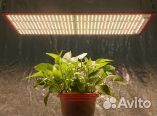 Фитолампа quantum board полный спектр 267 Вт